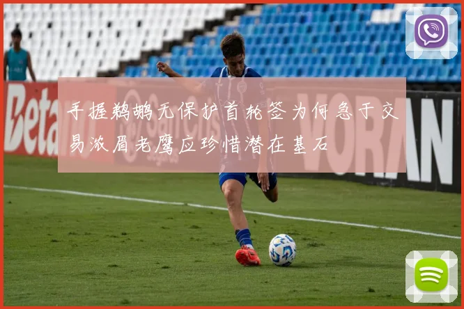 手握鹈鹕无保护首轮签为何急于交易浓眉老鹰应珍惜潜在基石